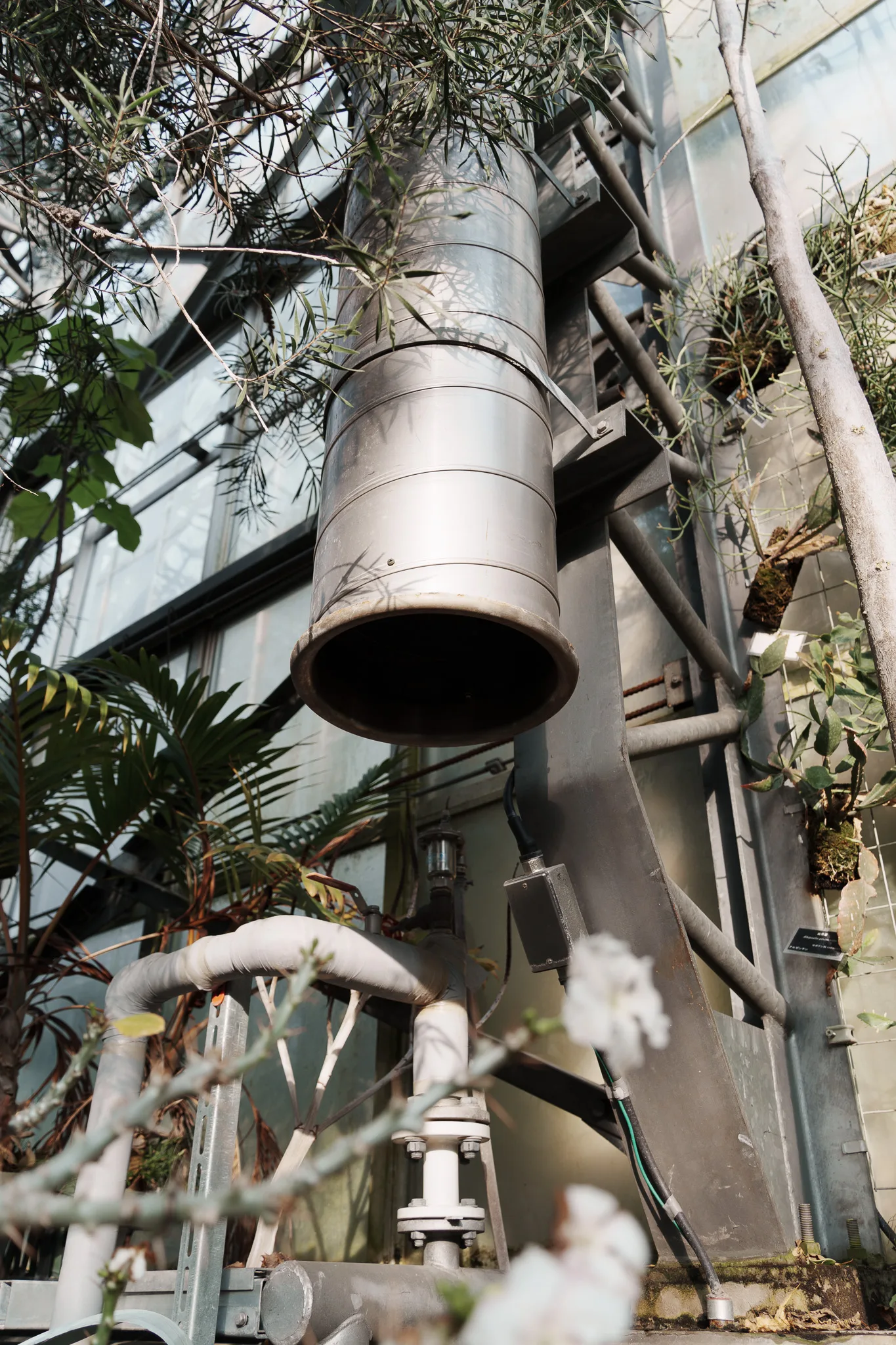 筑波実験植物園-36.jpg