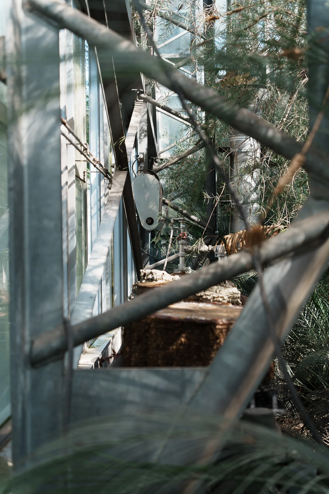 筑波実験植物園-33.jpg