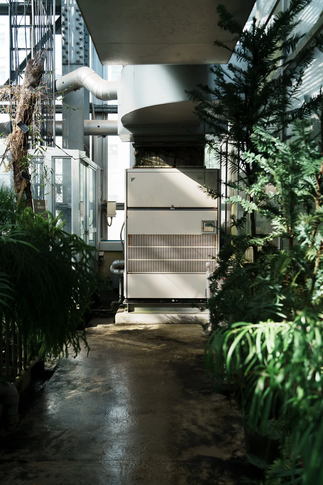 筑波実験植物園-22.jpg