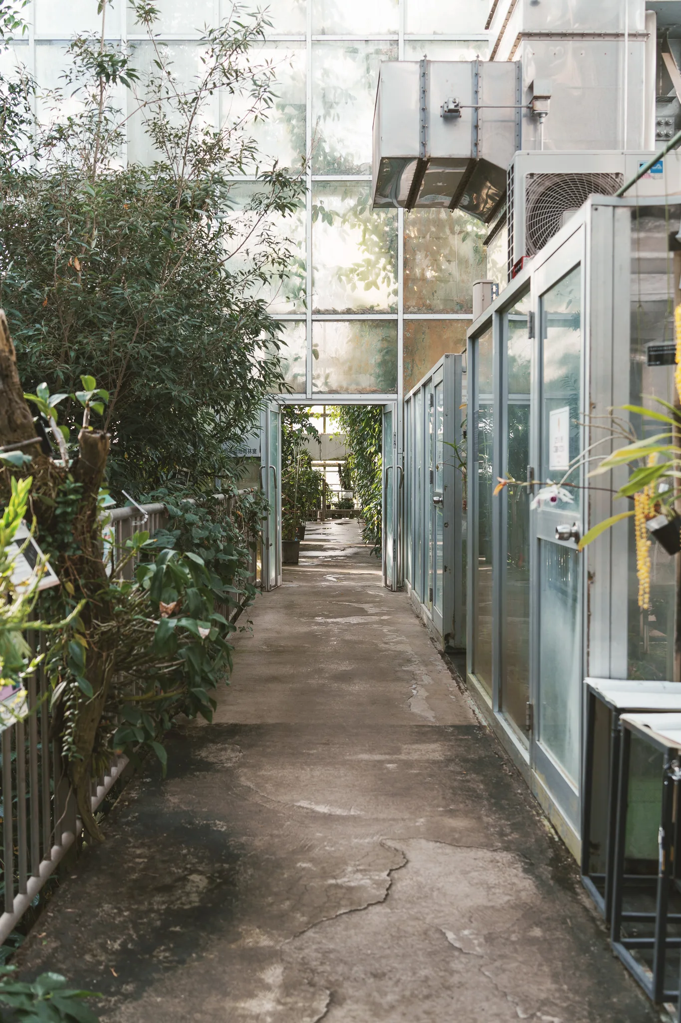 筑波実験植物園-20.jpg