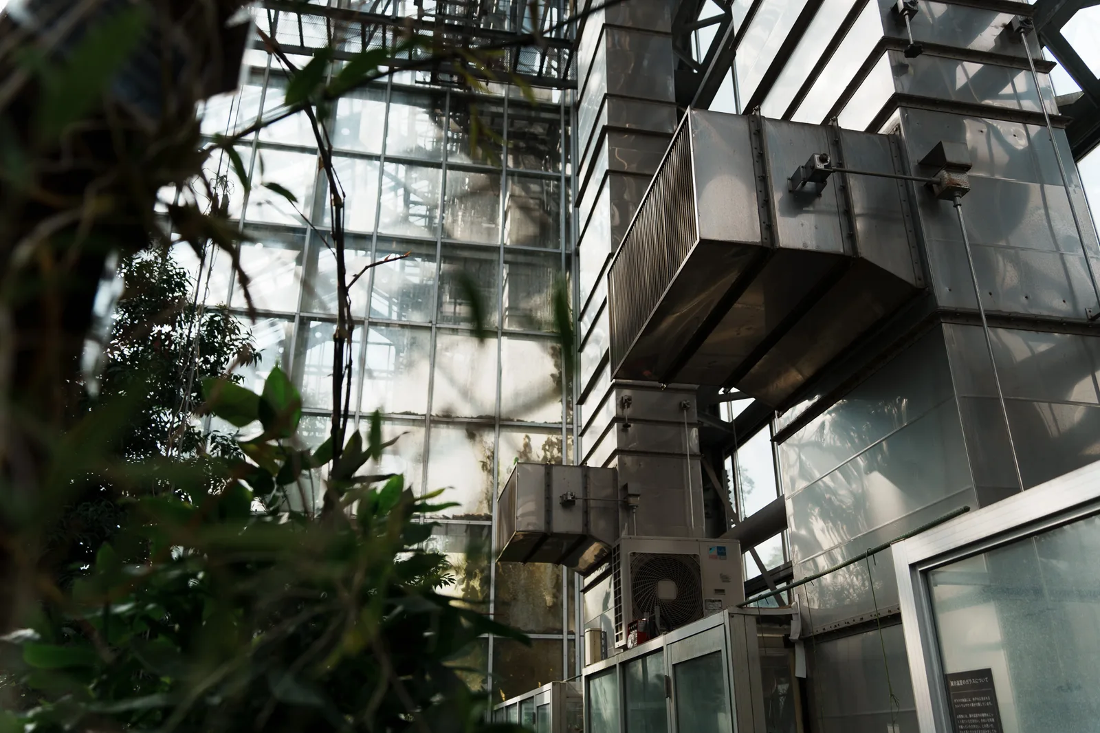 筑波実験植物園-24.jpg