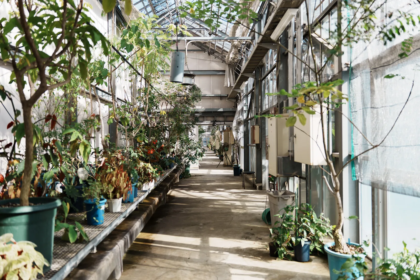 新宿御苑-48.jpg