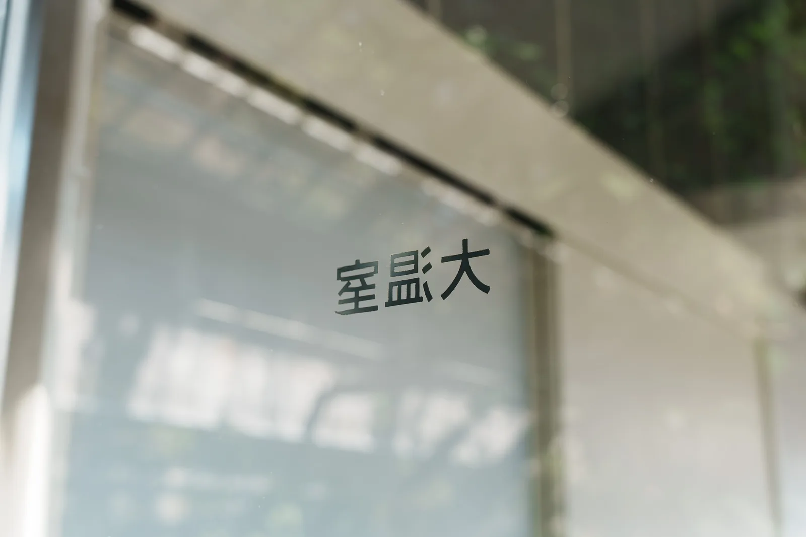 昭和薬科大学薬用植物園-23.jpg