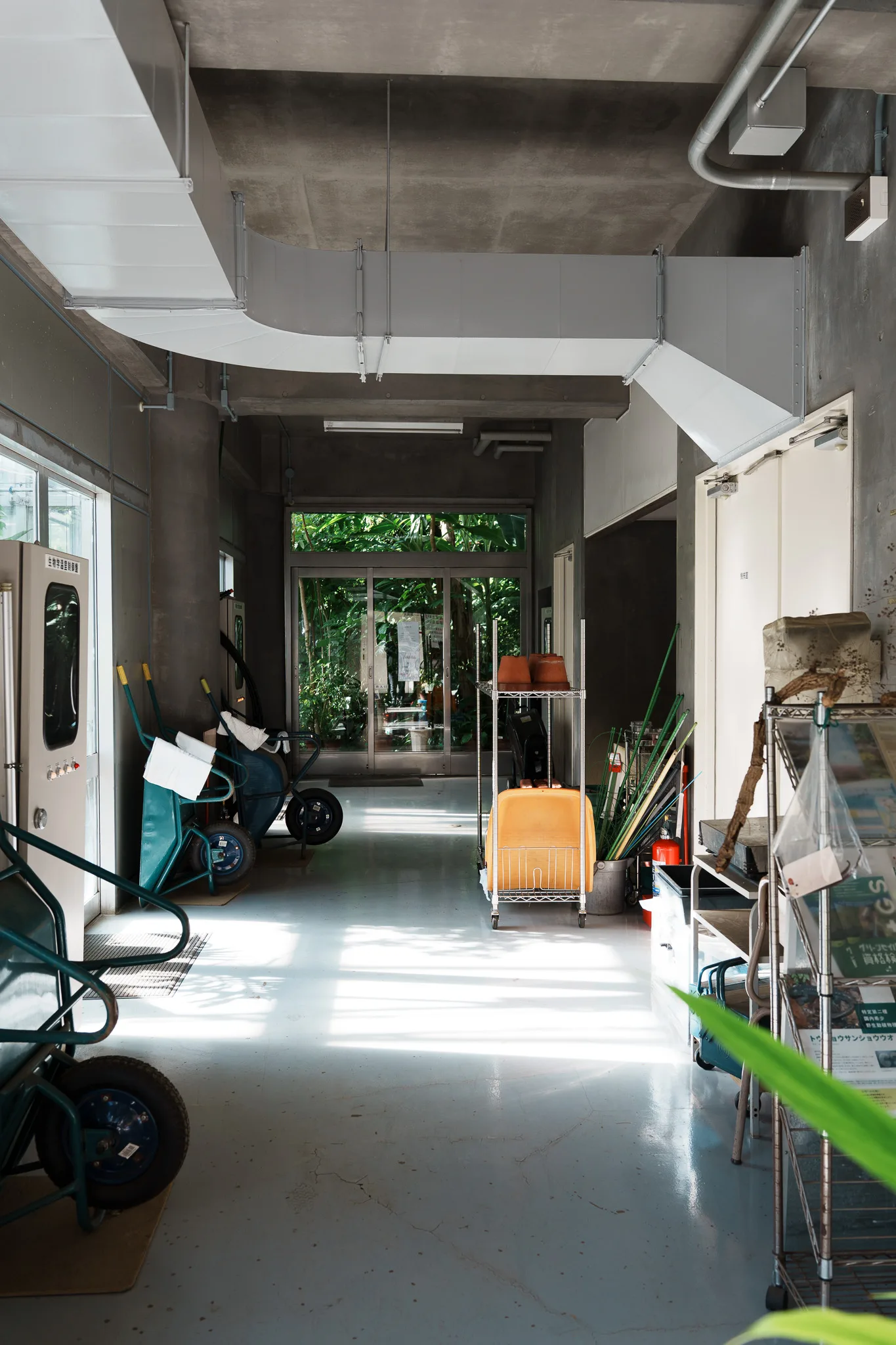 昭和薬科大学薬用植物園-03.jpg
