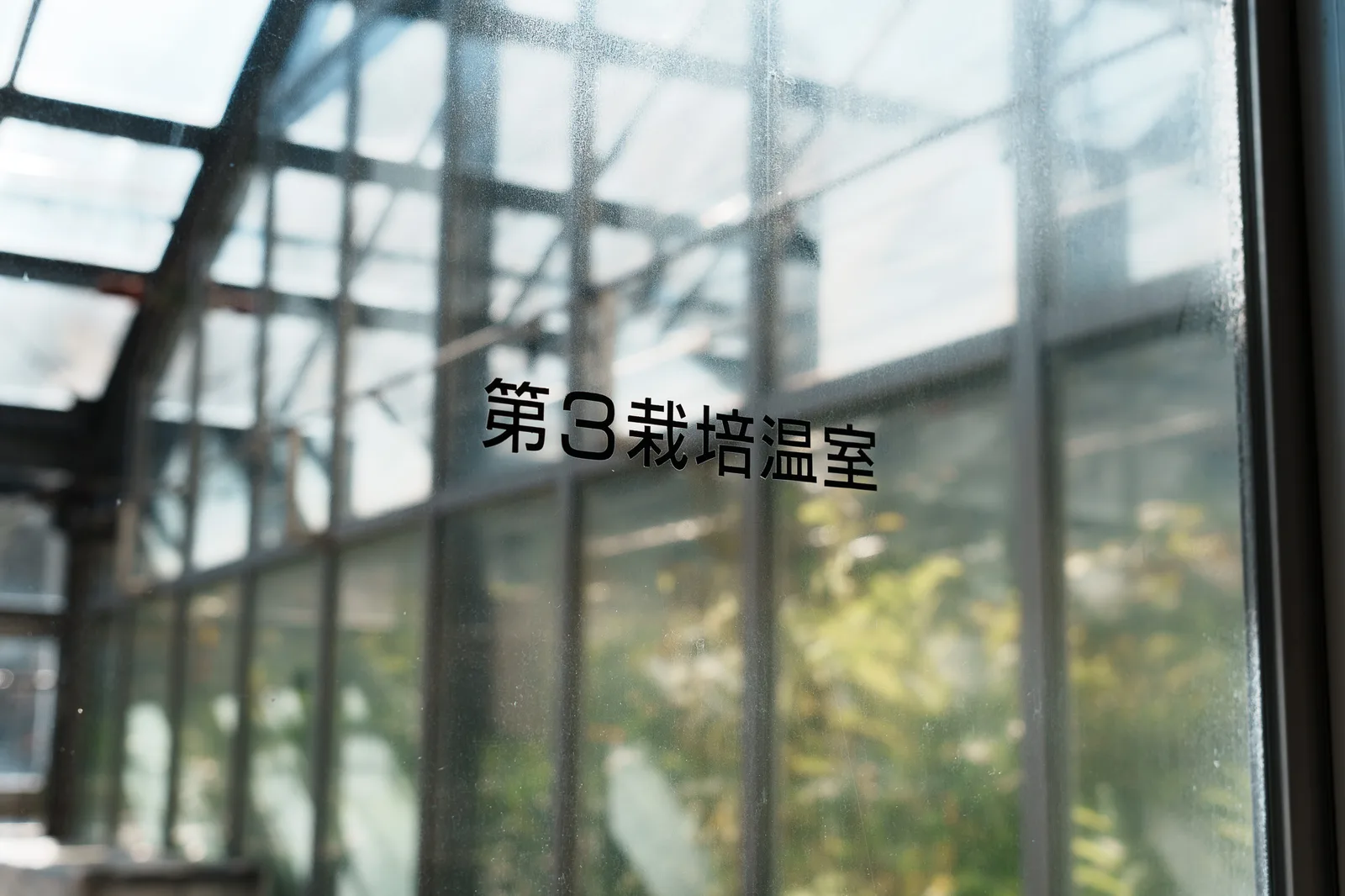 昭和薬科大学薬用植物園-04.jpg