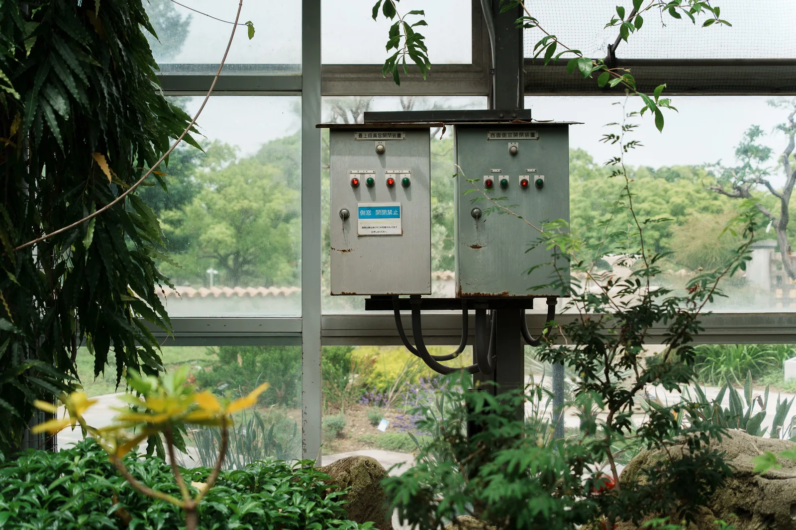 咲くやこの花館-11.jpg