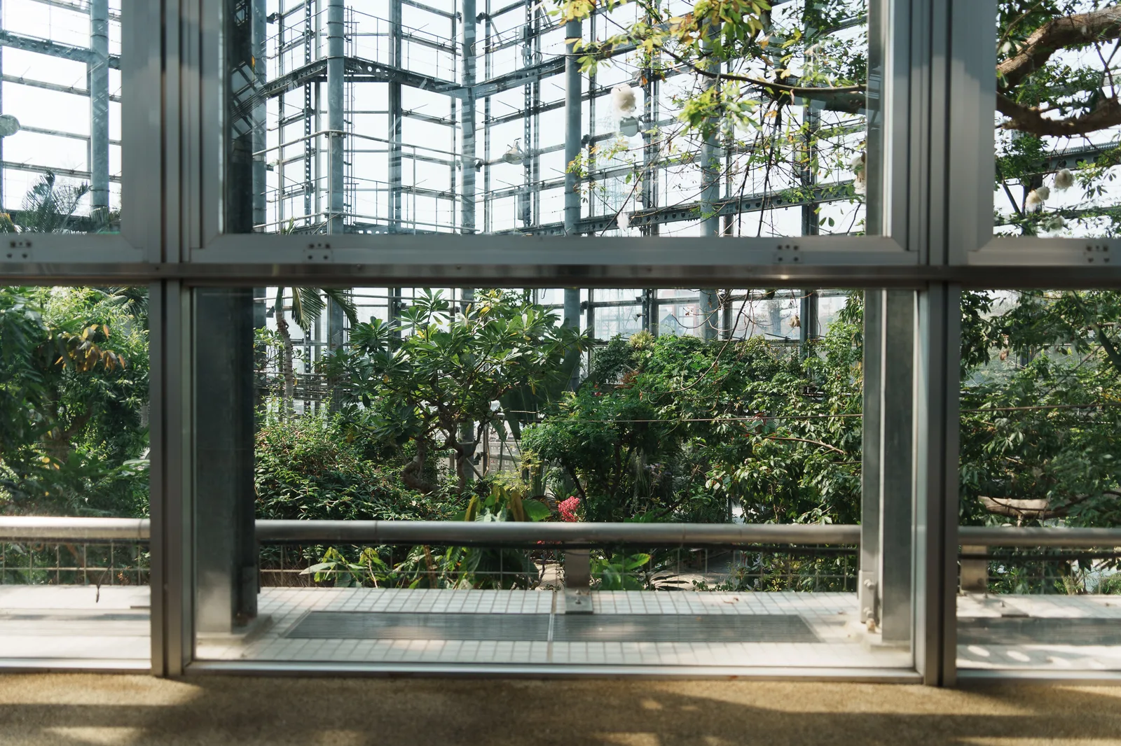咲くやこの花館-74.jpg
