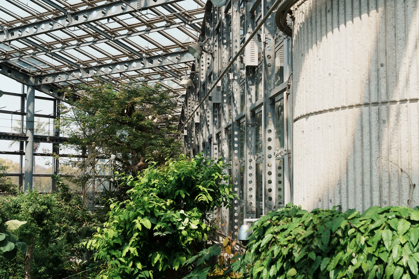 咲くやこの花館-31.jpg