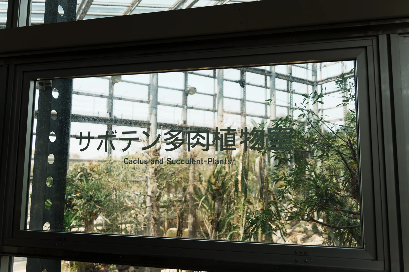 咲くやこの花館-75.jpg