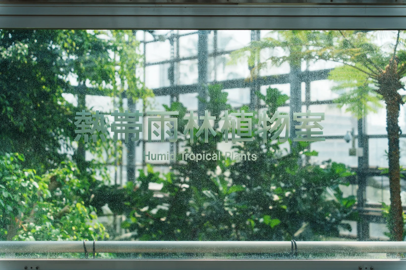 咲くやこの花館-76.jpg
