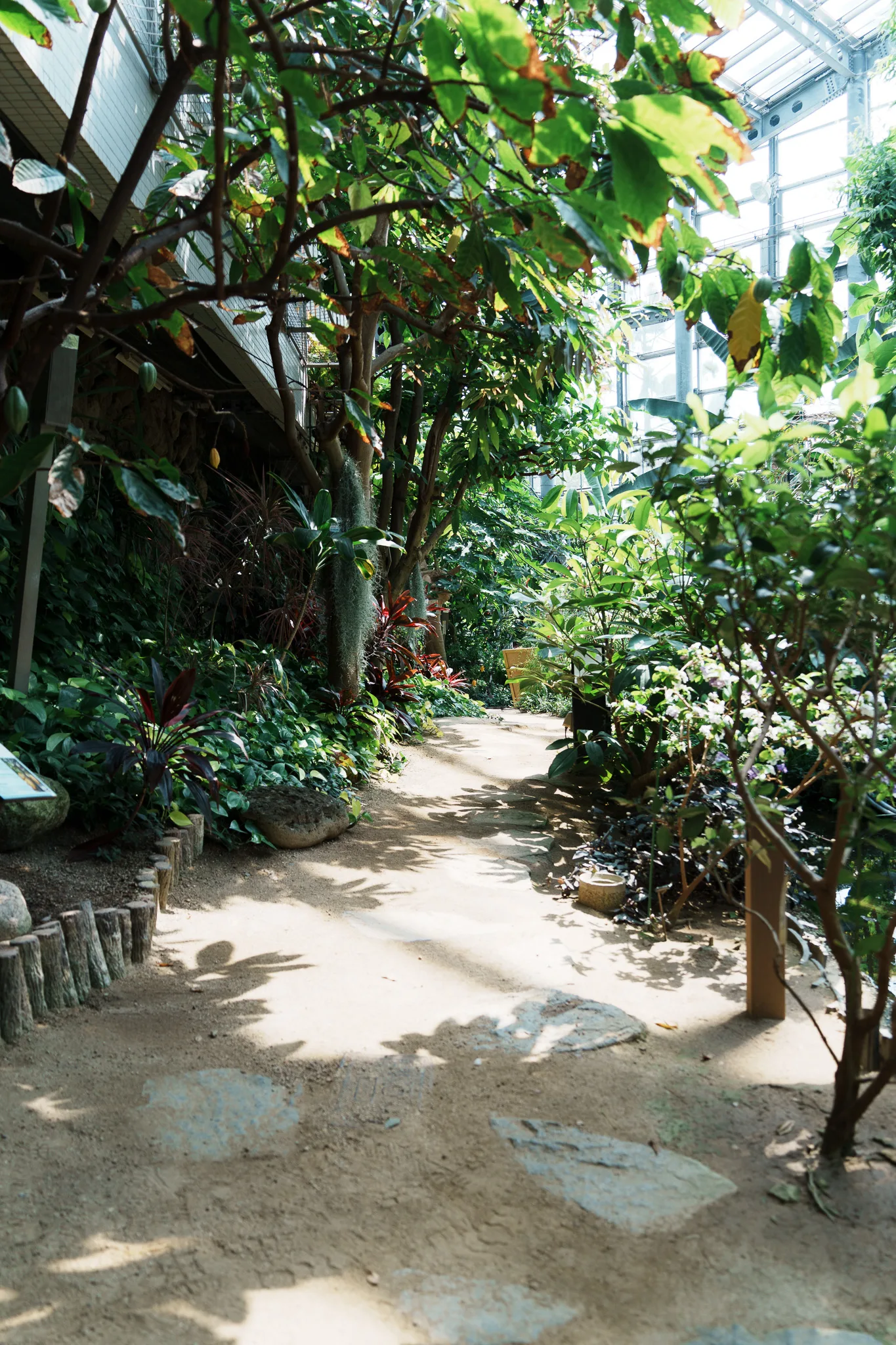 咲くやこの花館-77.jpg