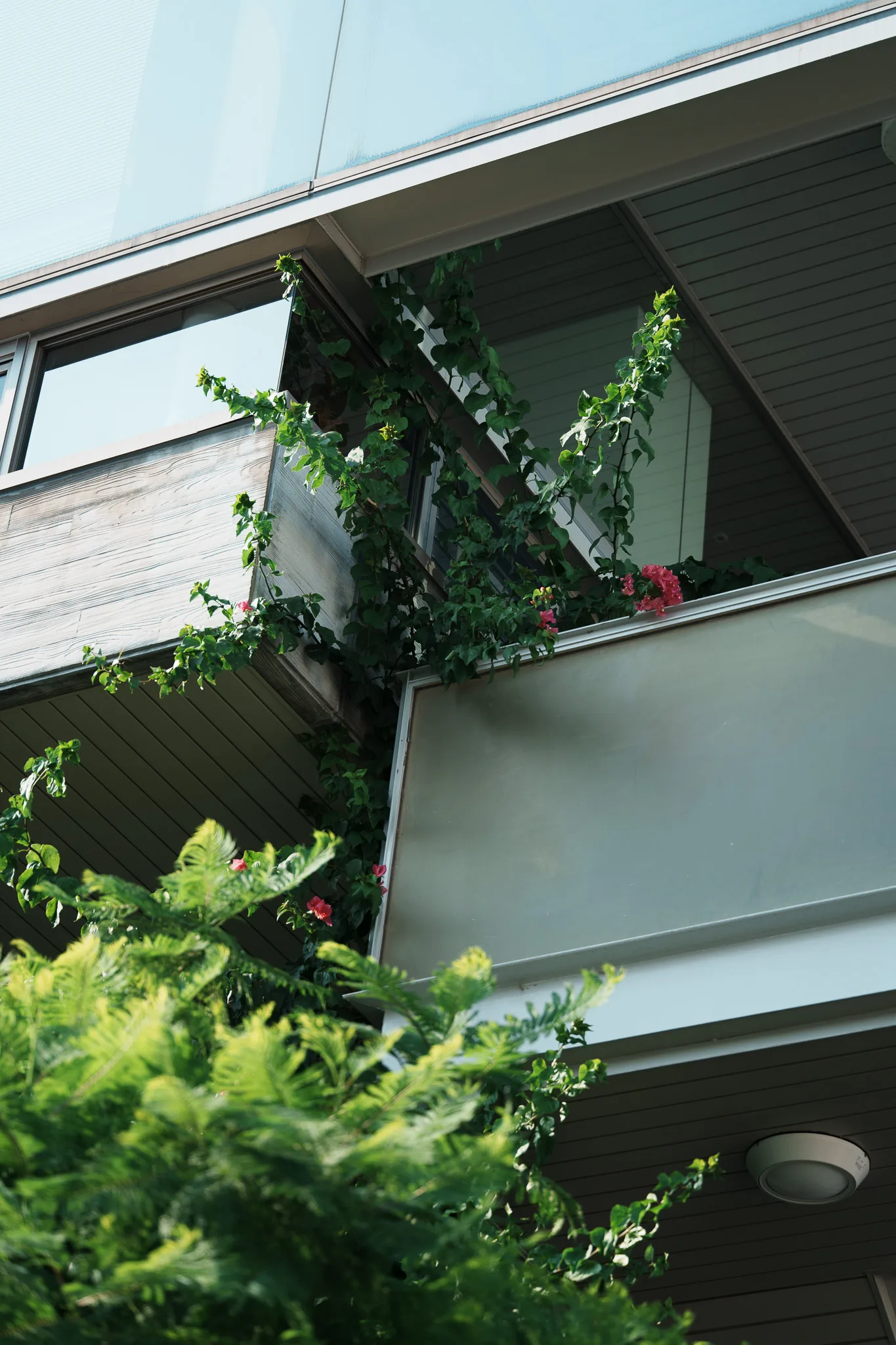 板橋区立熱帯環境植物館-35.jpg