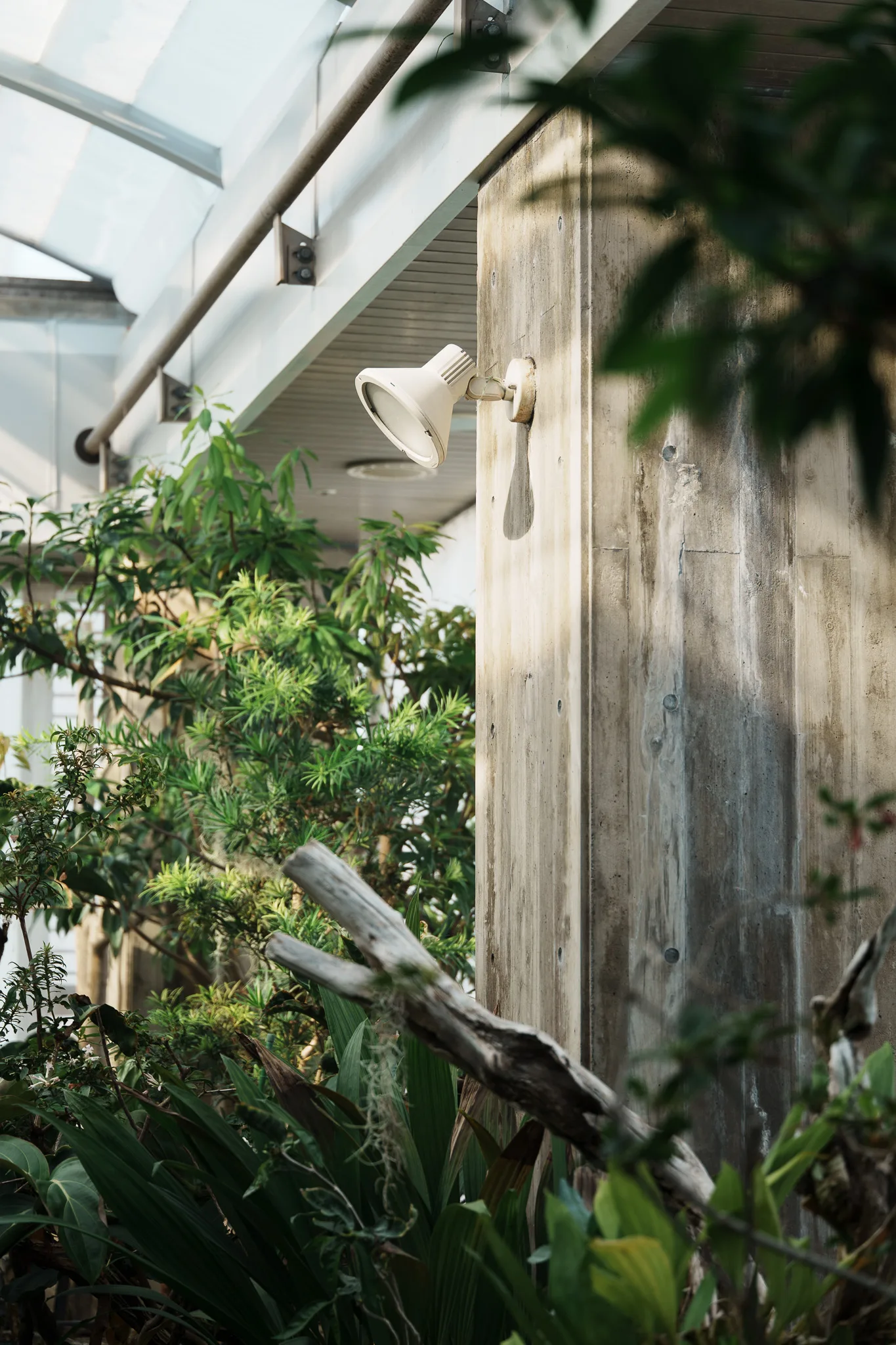 板橋区立熱帯環境植物館-14.jpg