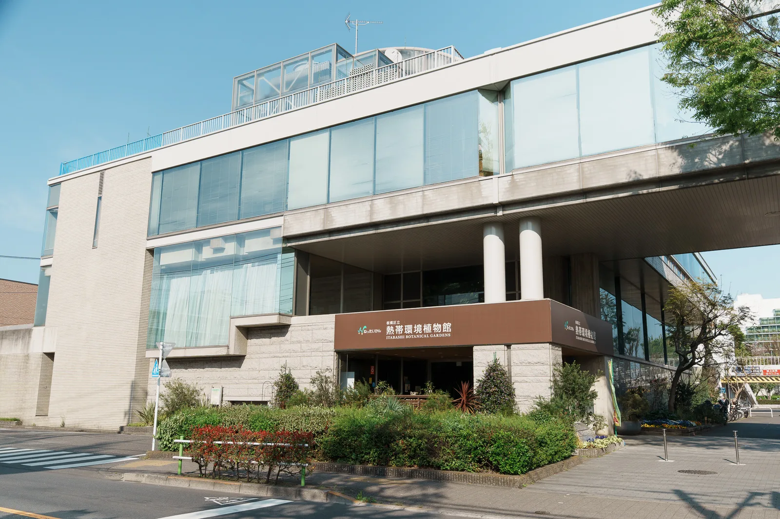 板橋区立熱帯環境植物館-01.jpg