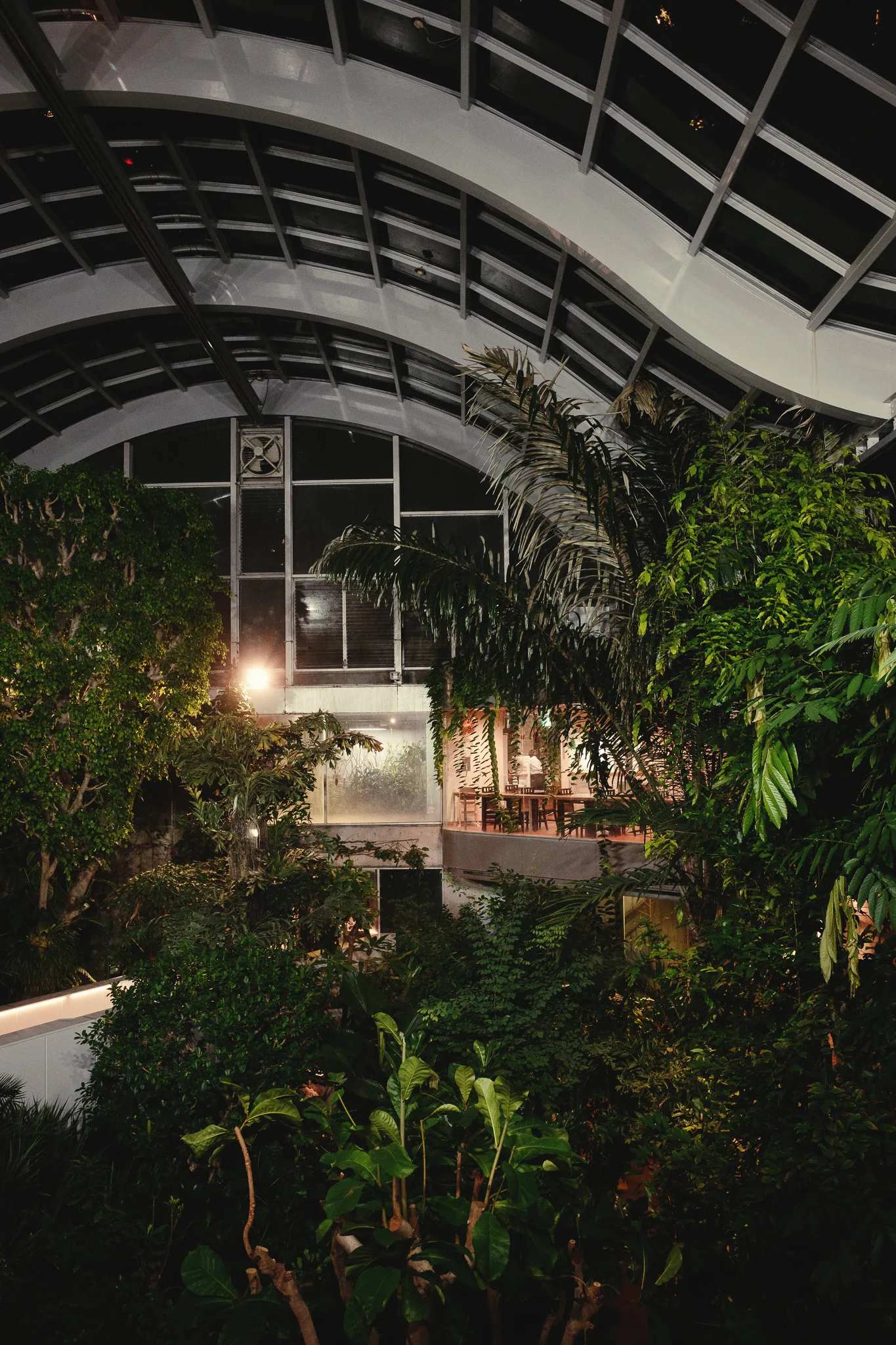 板橋区立熱帯環境植物館-45.jpg