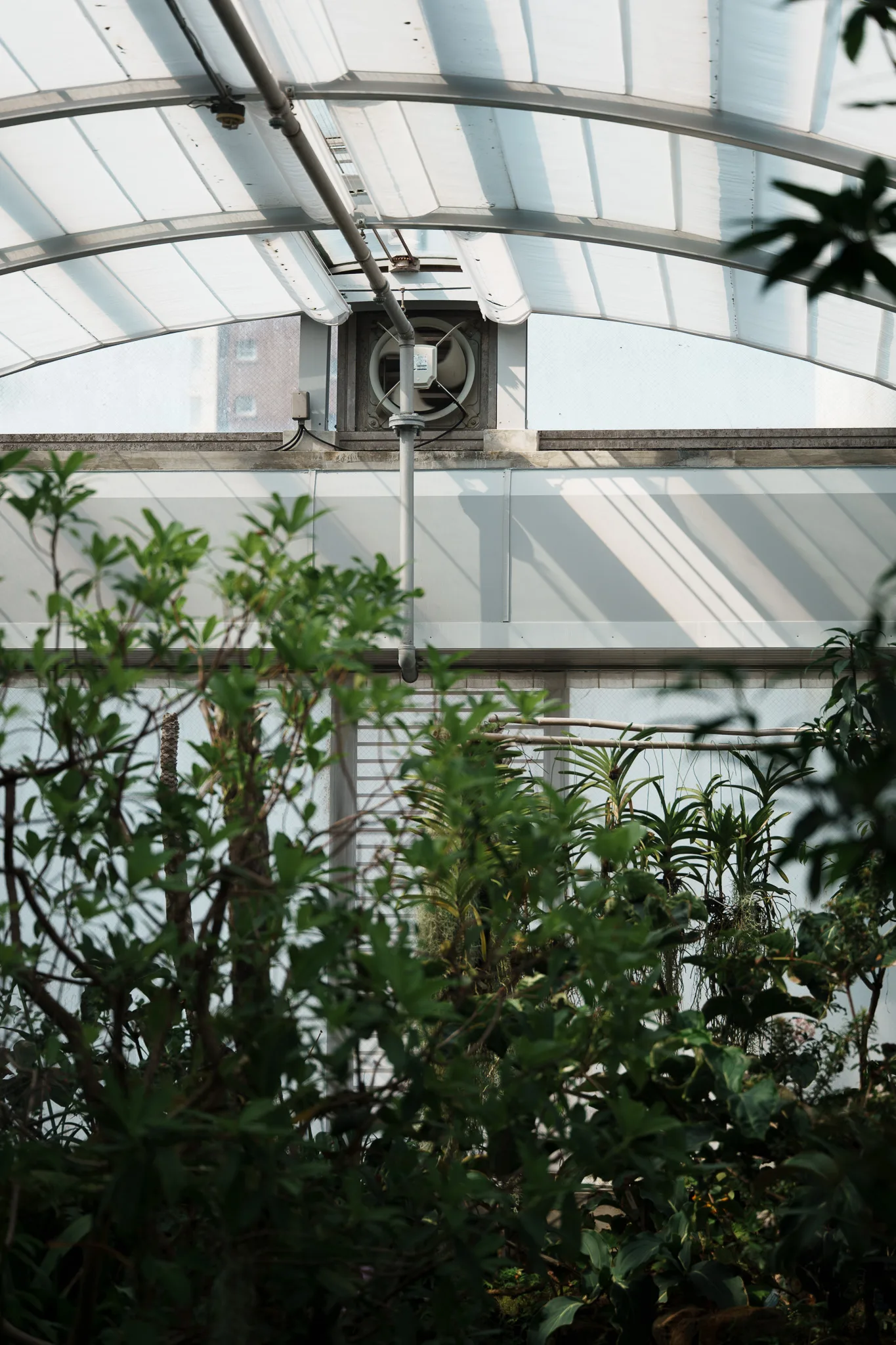板橋区立熱帯環境植物館-20.jpg
