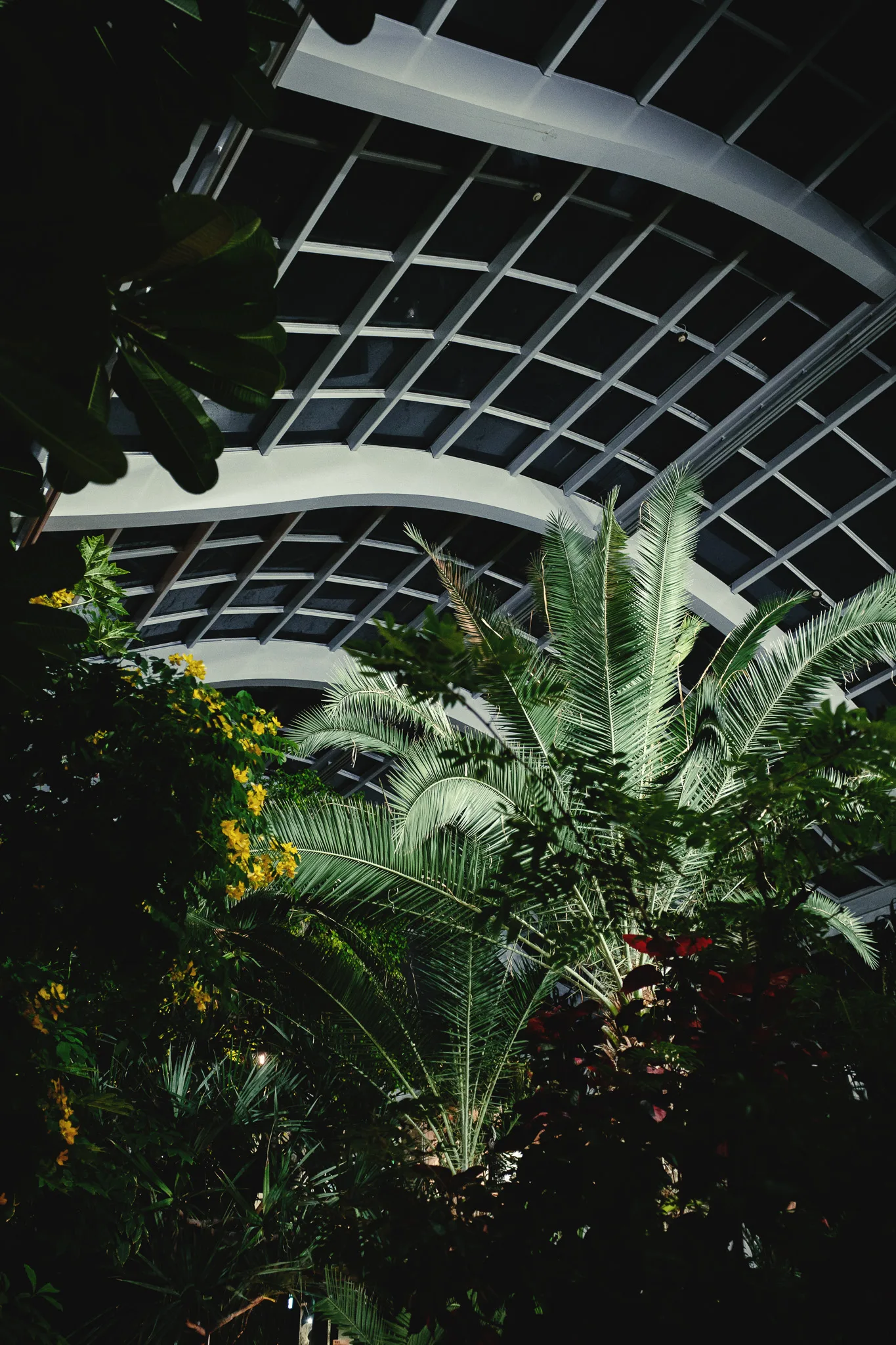 板橋区立熱帯環境植物館-43.jpg