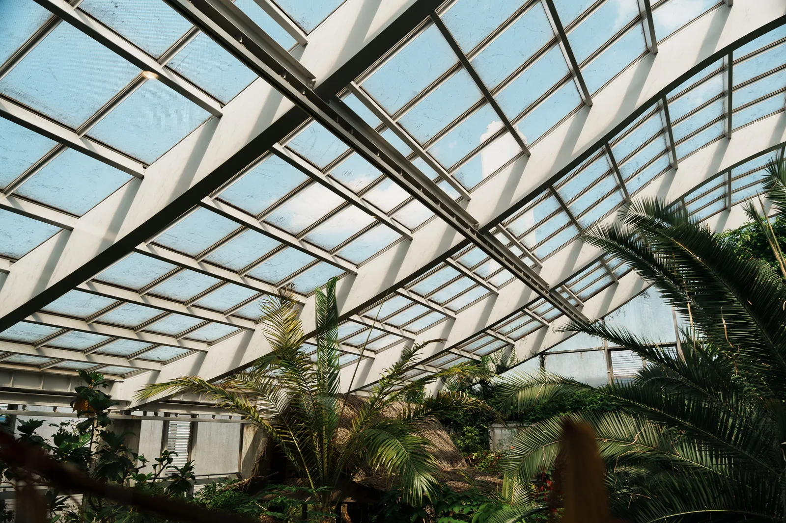 板橋区立熱帯環境植物館-30.jpg
