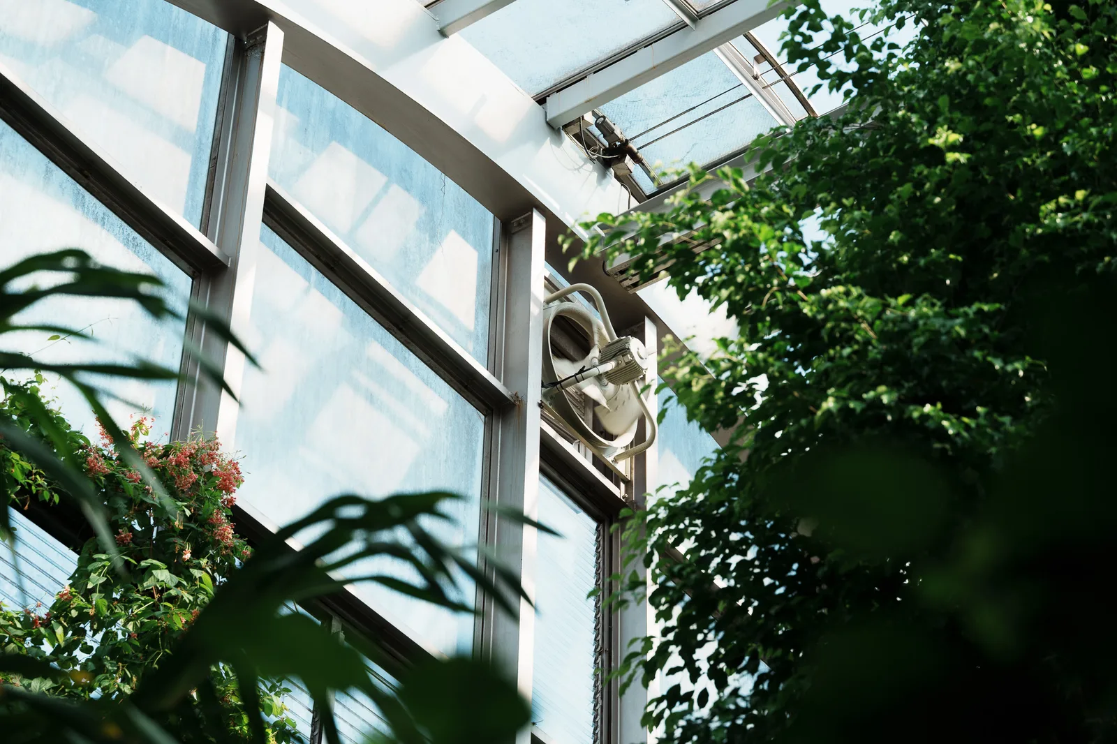 板橋区立熱帯環境植物館-13.jpg