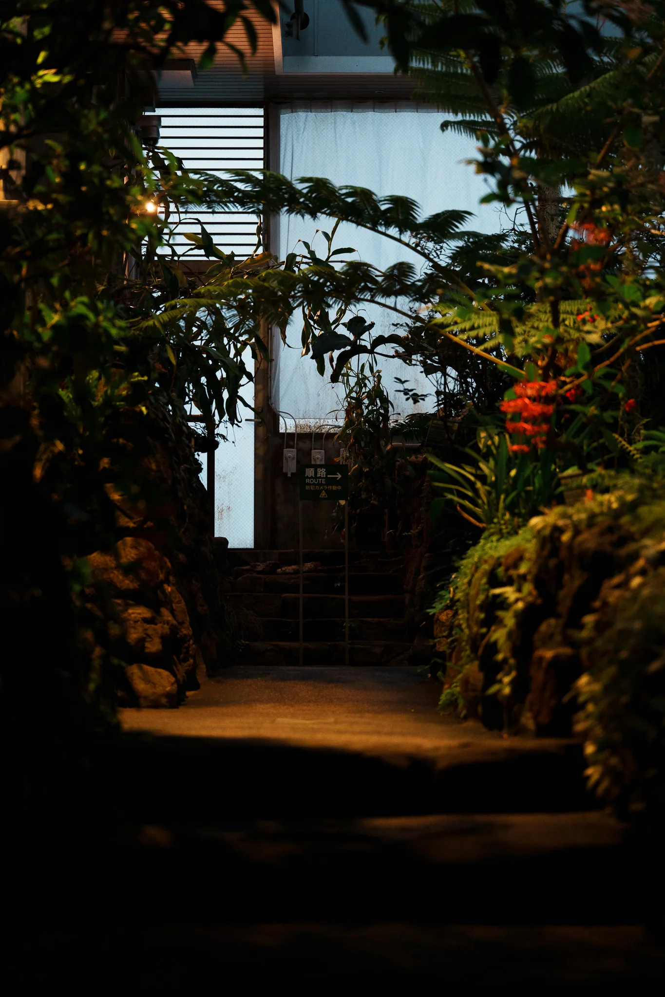 板橋区立熱帯環境植物館-38.jpg