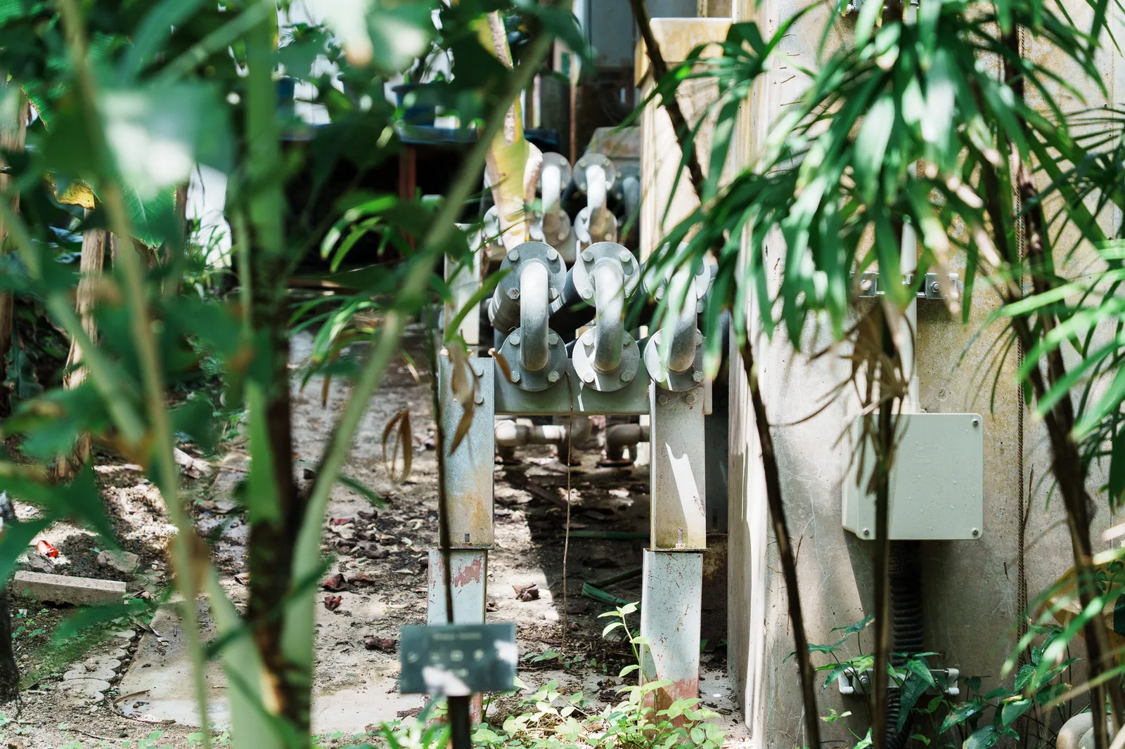 京都府立植物園-17.jpg