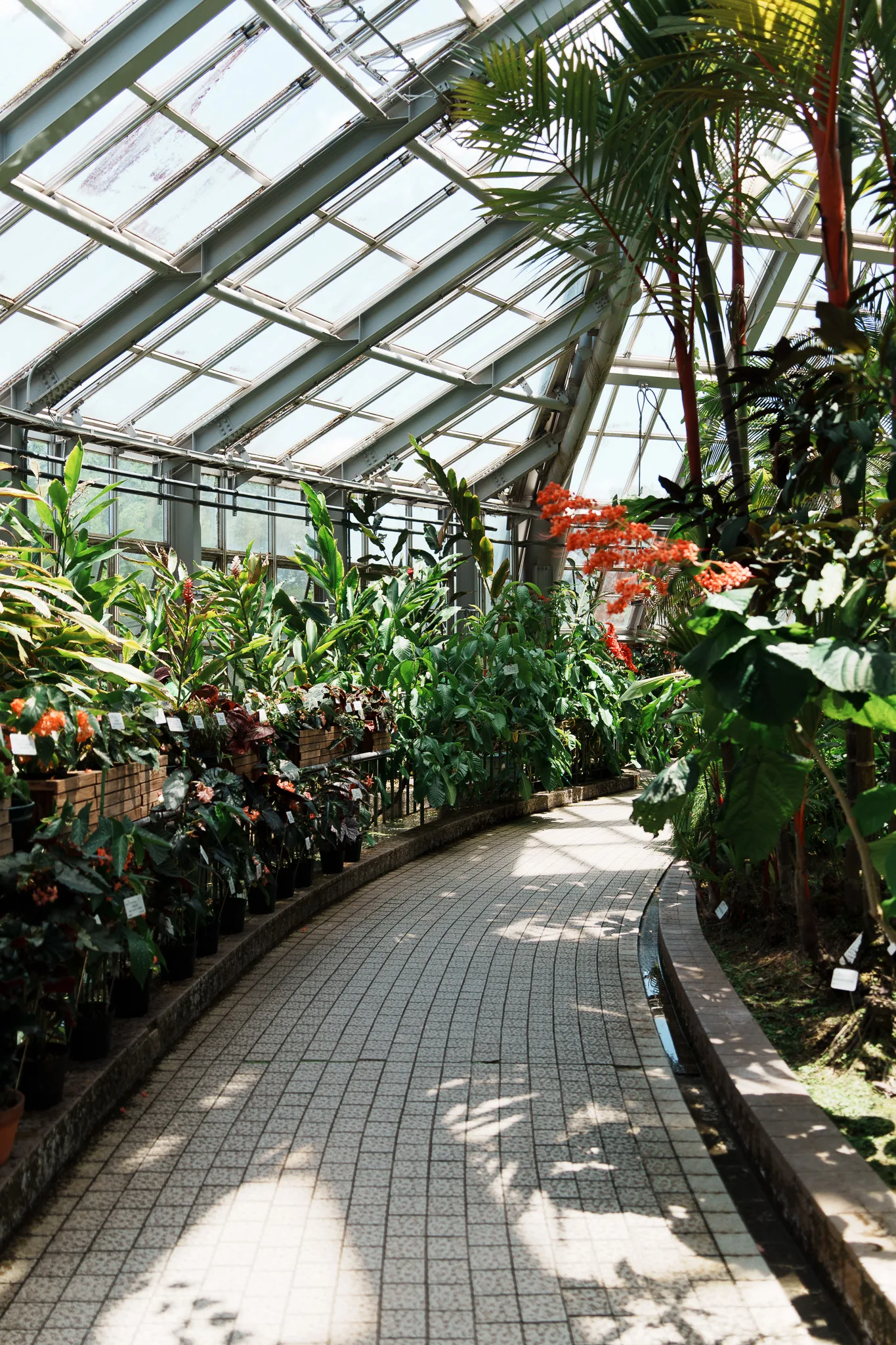 京都府立植物園-11.jpg