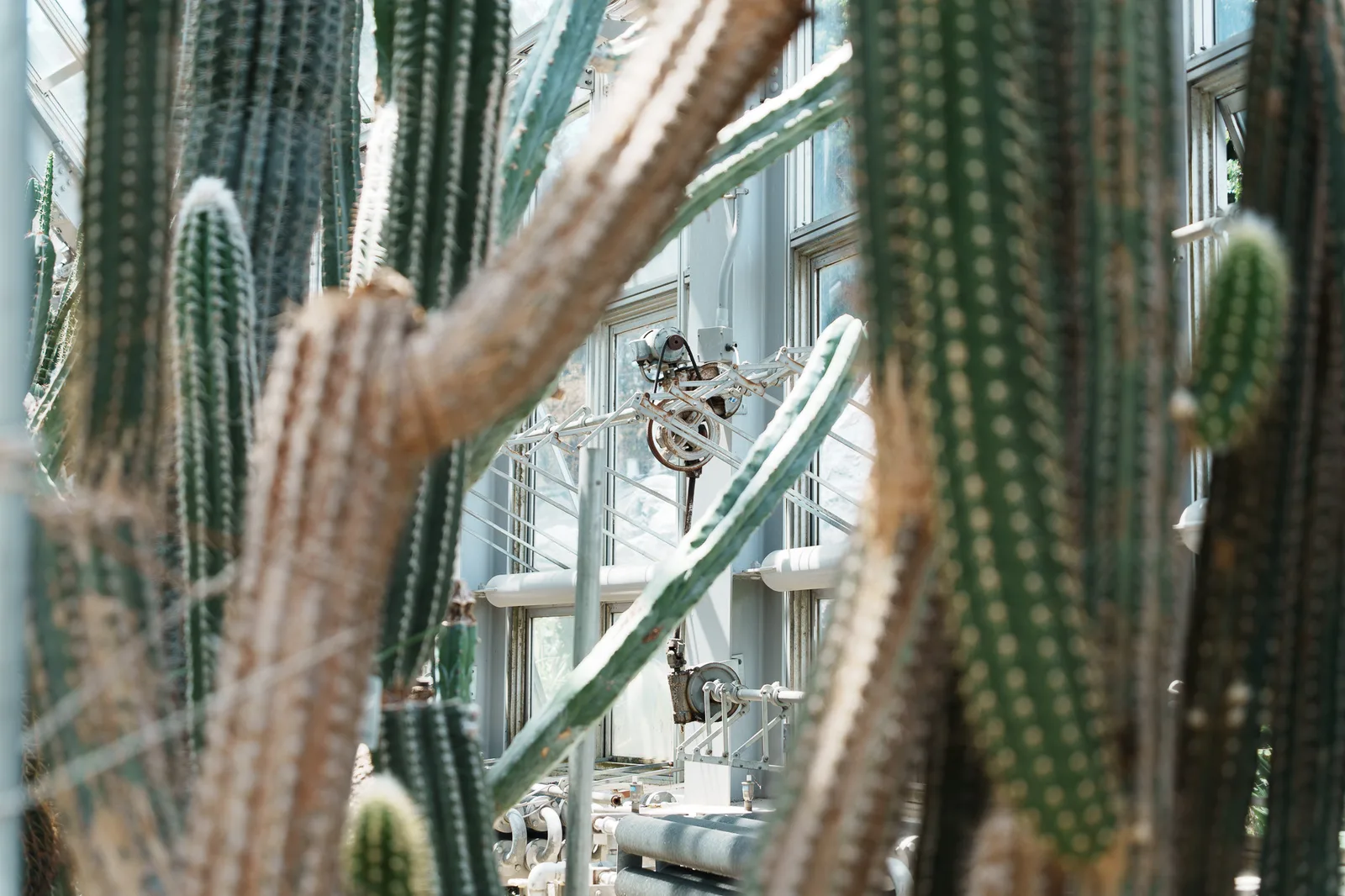 京都府立植物園-44.jpg