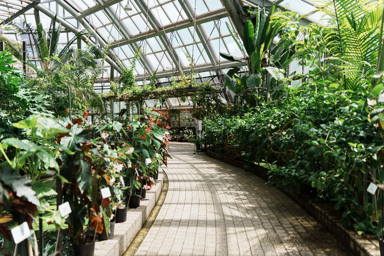 京都府立植物園-14.jpg