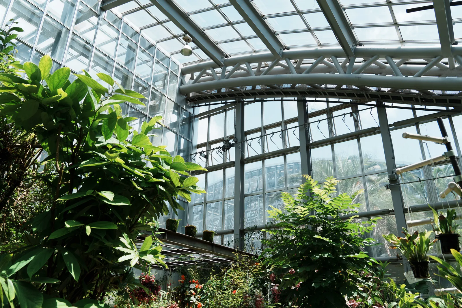 京都府立植物園-36.jpg