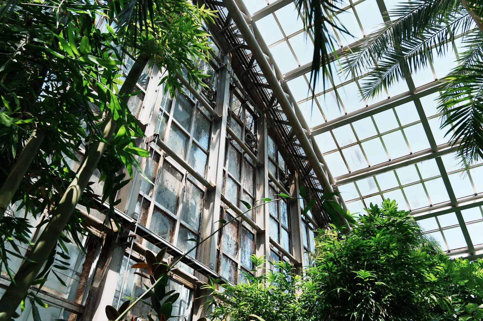 京都府立植物園-26.jpg
