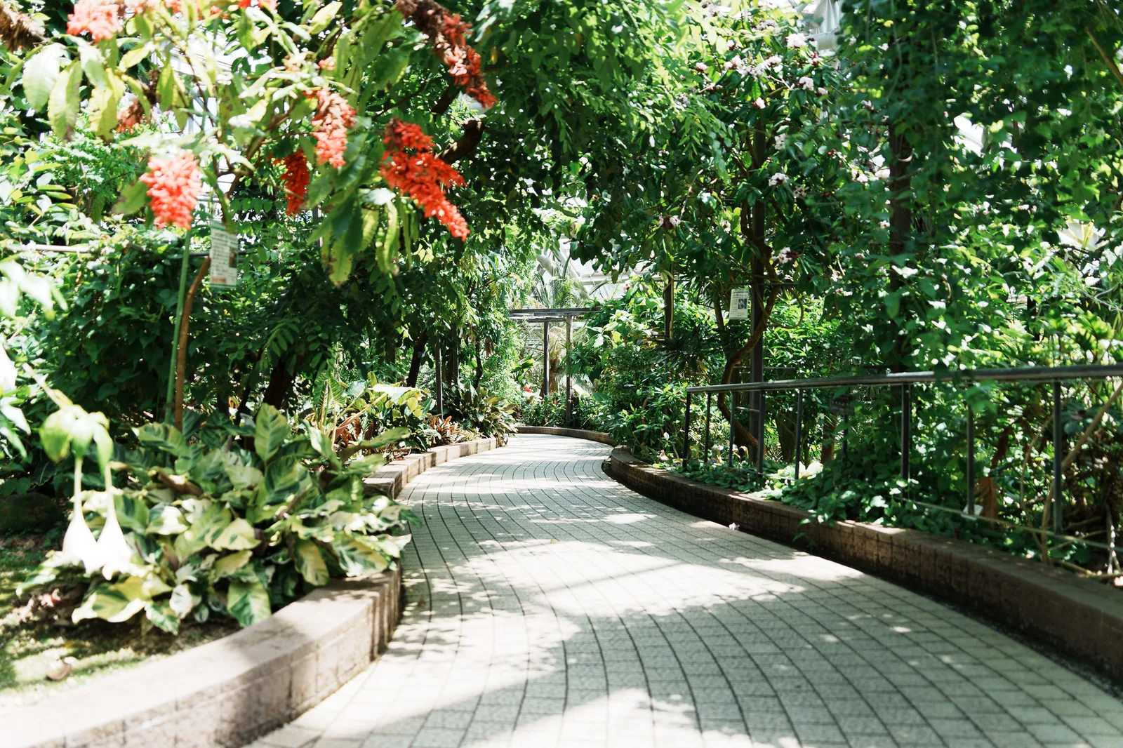 京都府立植物園-24.jpg