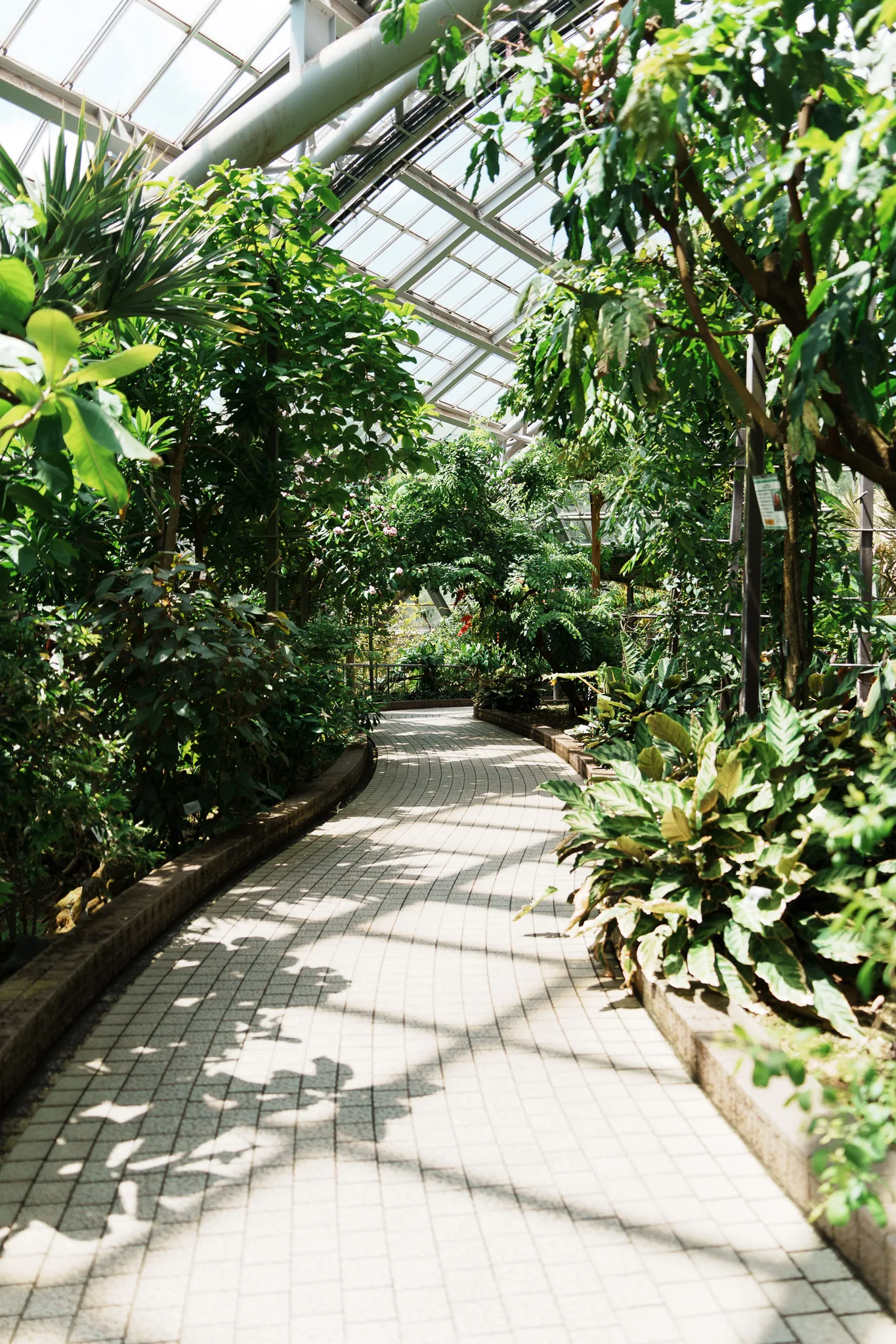 京都府立植物園-18.jpg
