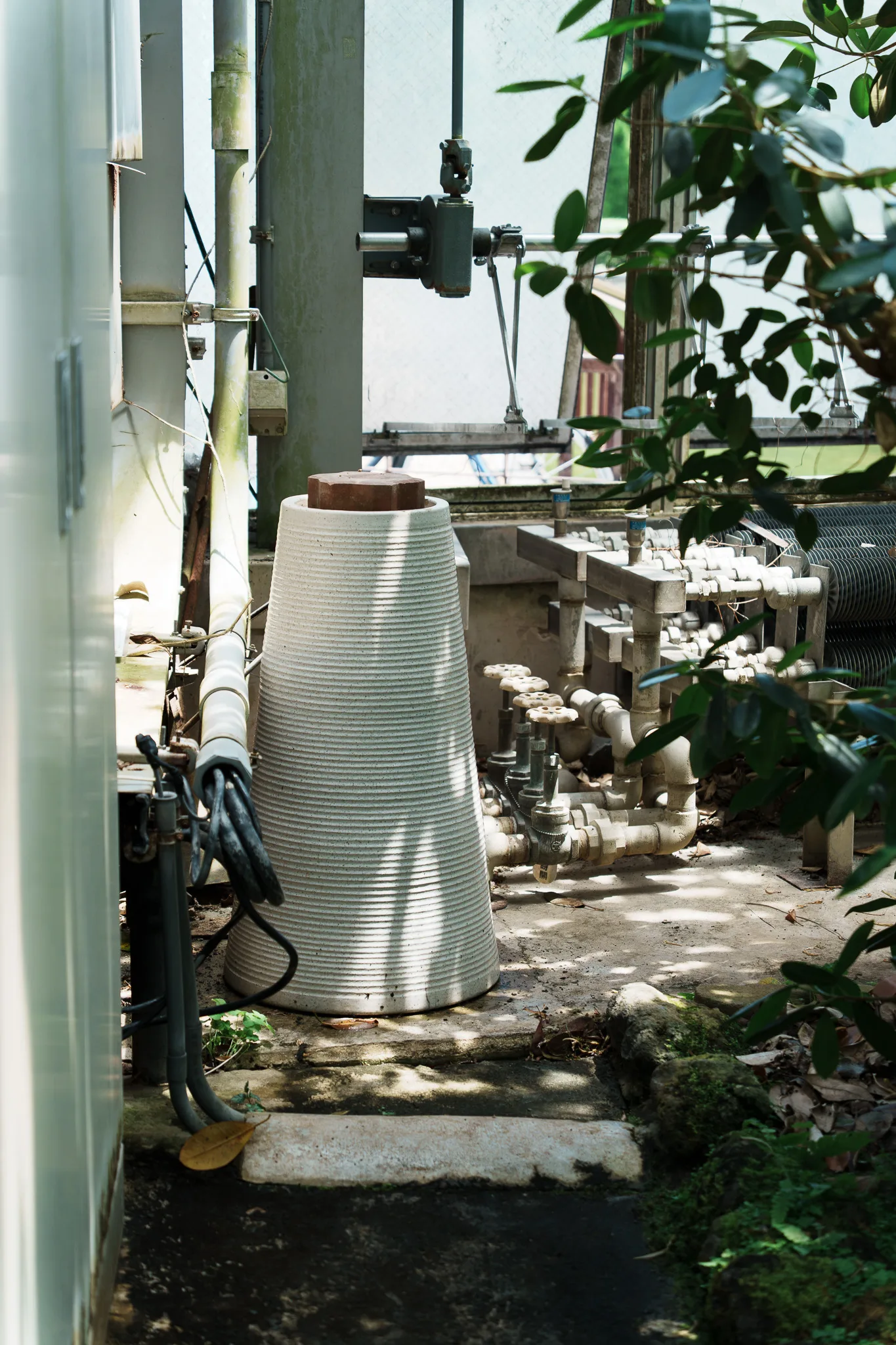 京都府立植物園-57.jpg