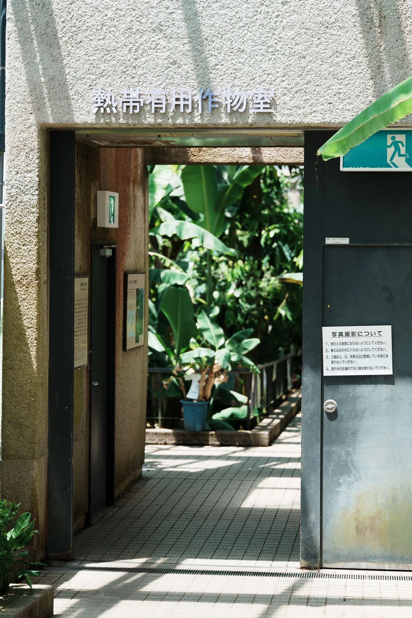 京都府立植物園-29.jpg