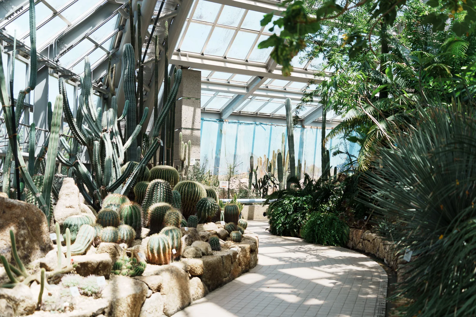 京都府立植物園-43.jpg