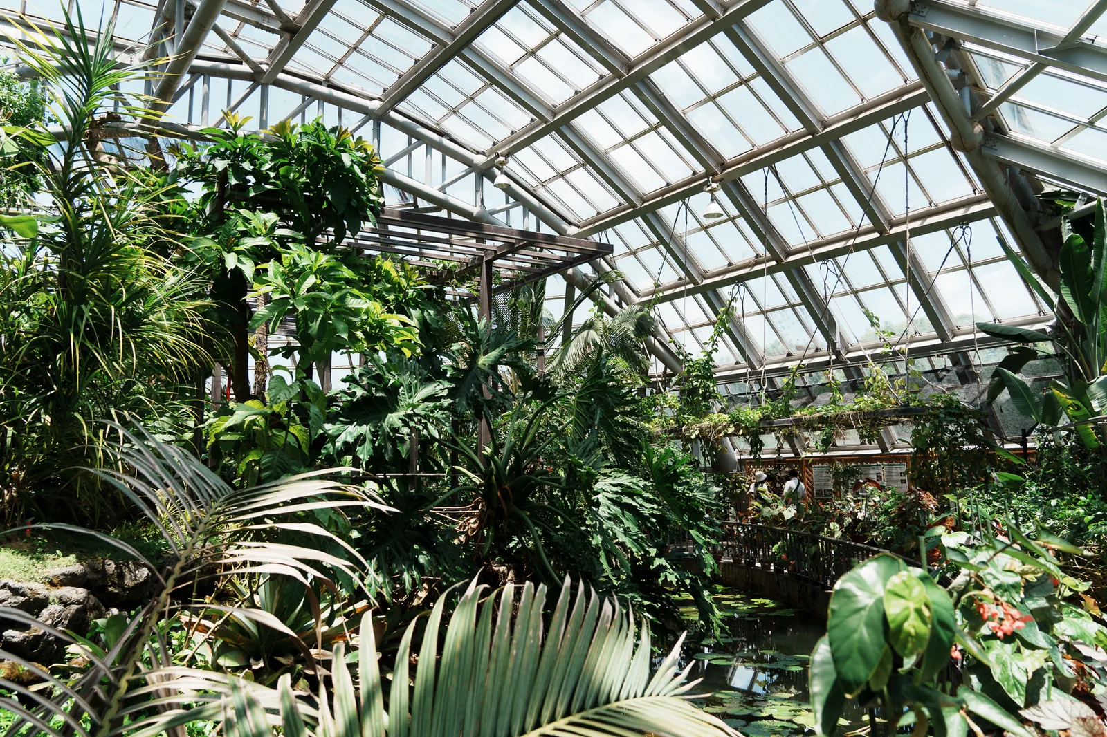 京都府立植物園-16.jpg