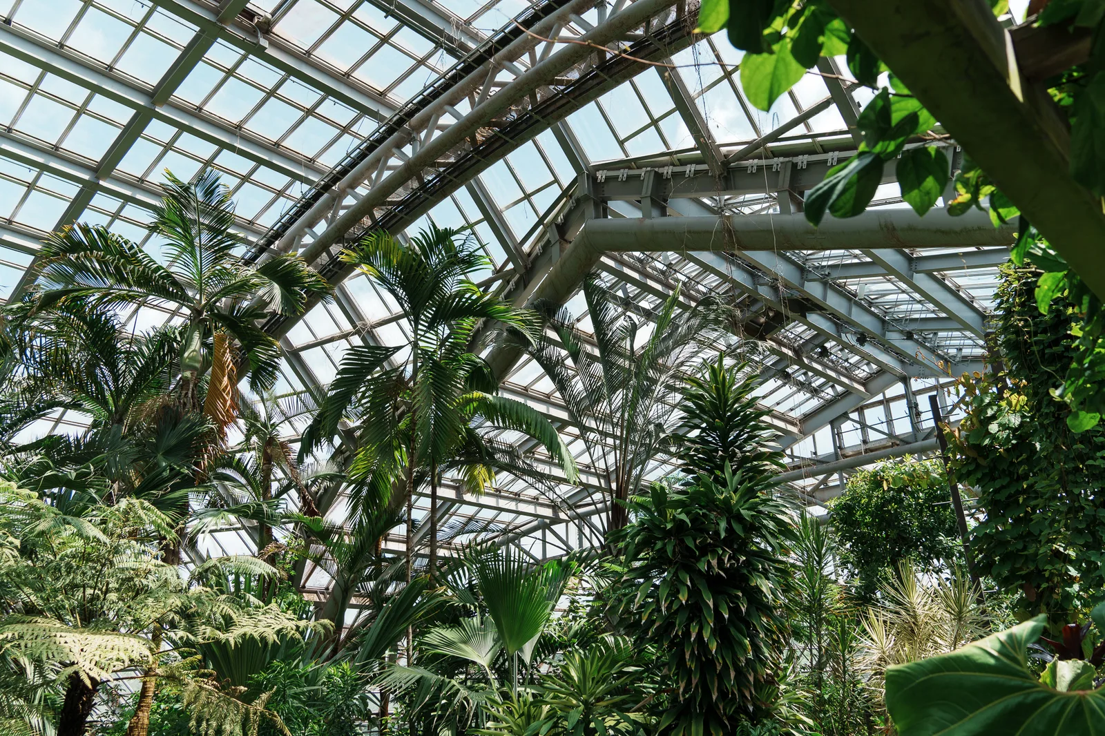 京都府立植物園-23.jpg