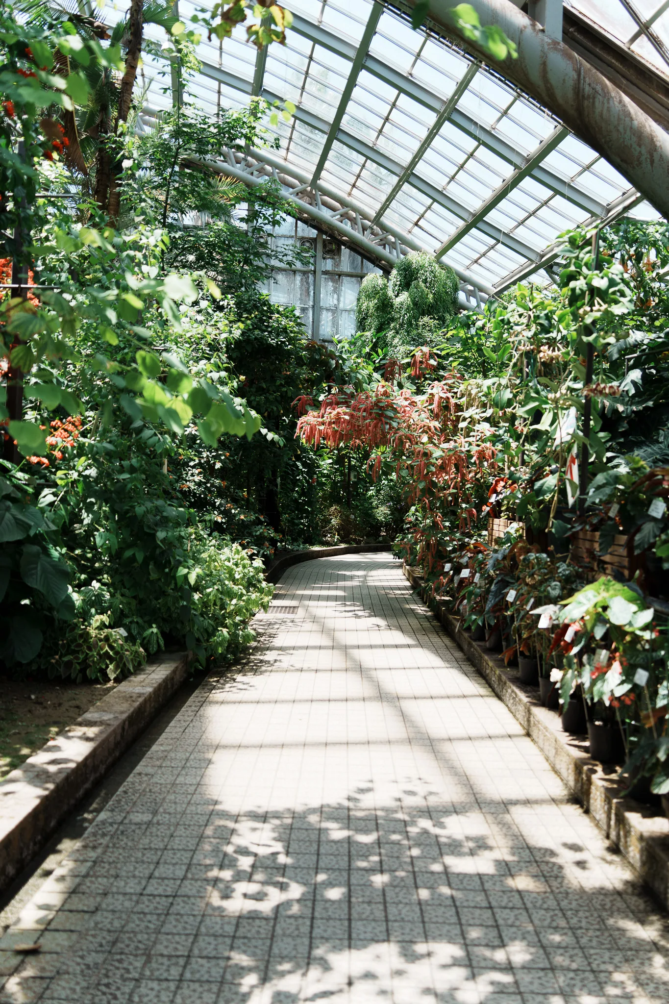 京都府立植物園-05.jpg