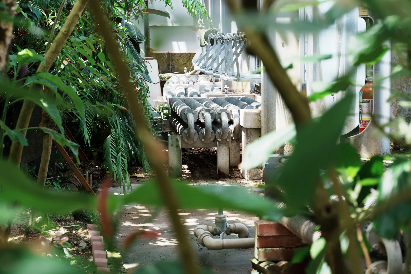 京都府立植物園-34.jpg