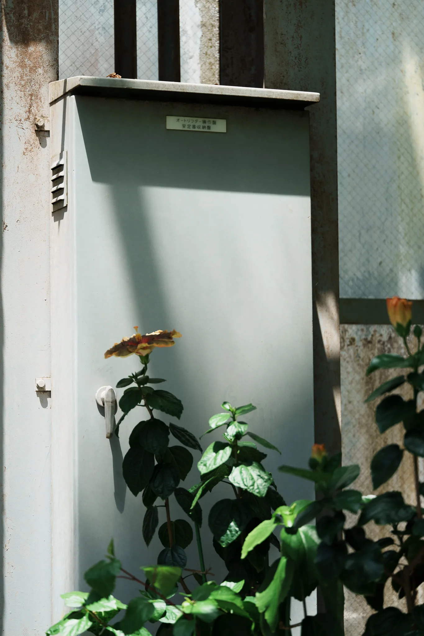 京都府立植物園-33.jpg