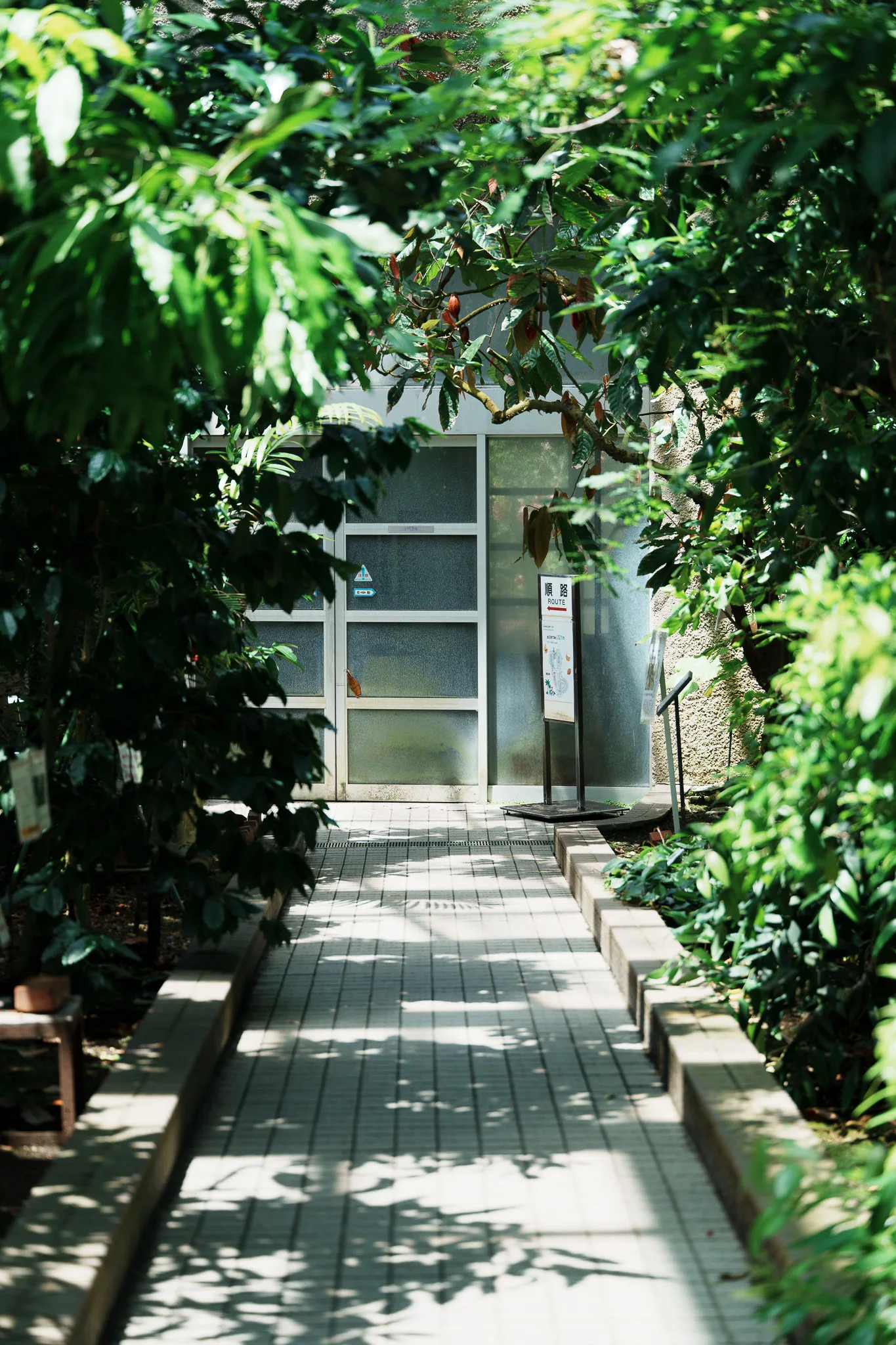 京都府立植物園-30.jpg