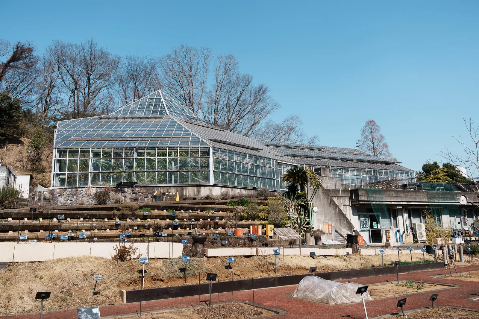東京薬科大学薬用植物園-01.jpg