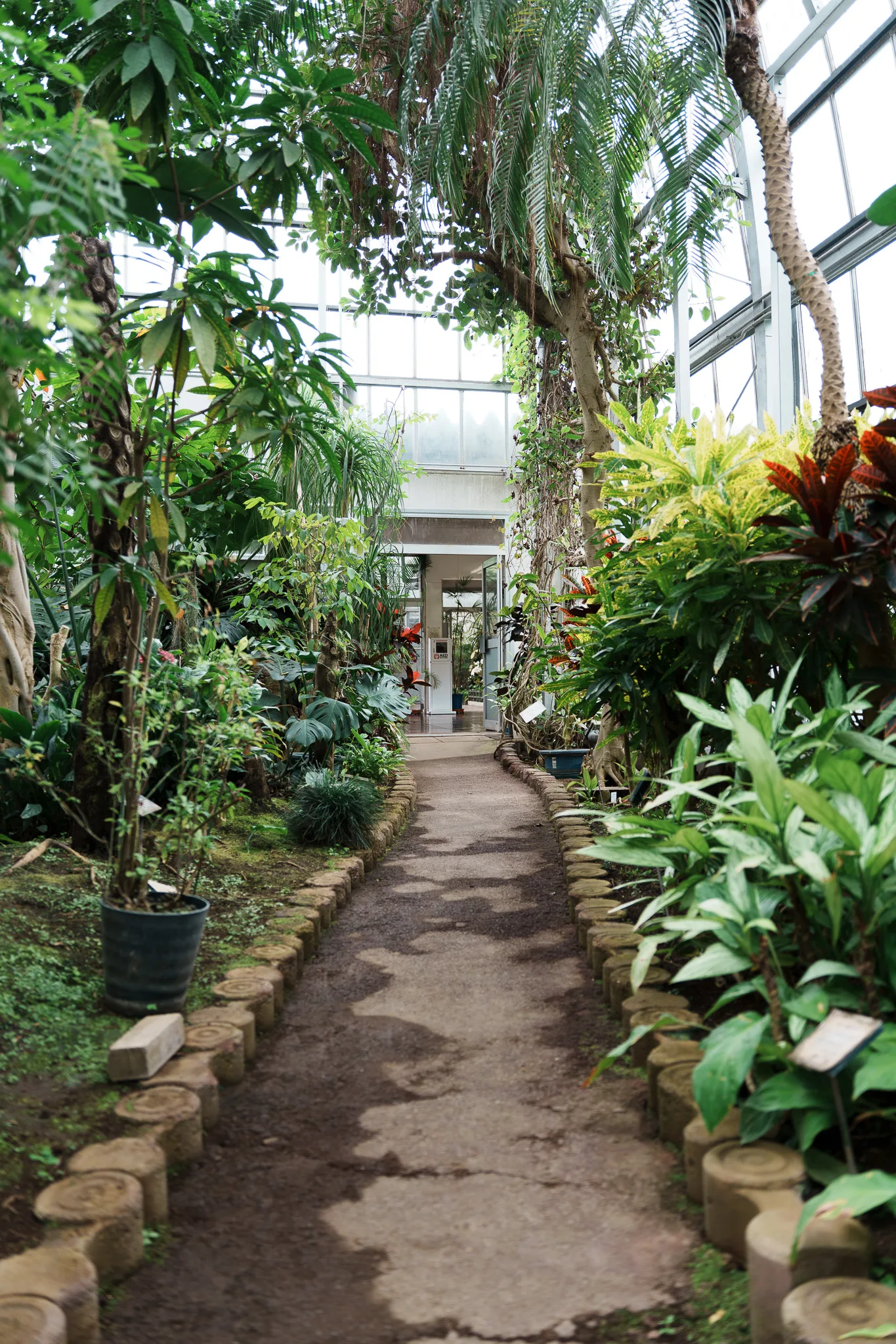 さいたま市園芸植物園-05.jpg