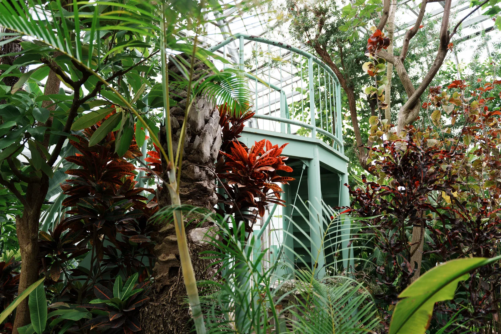 さいたま市園芸植物園-07.jpg