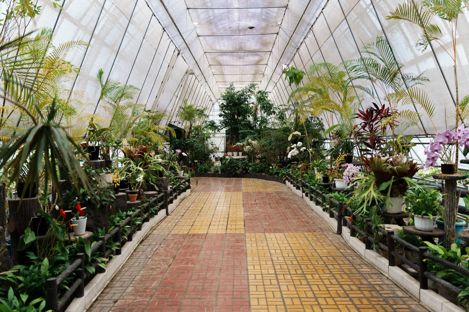 さいたま市園芸植物園-16.jpg