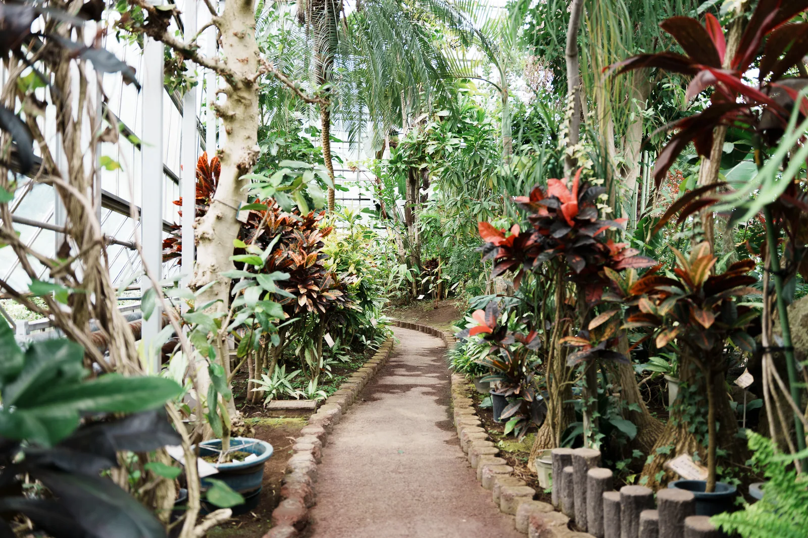 さいたま市園芸植物園-04.jpg