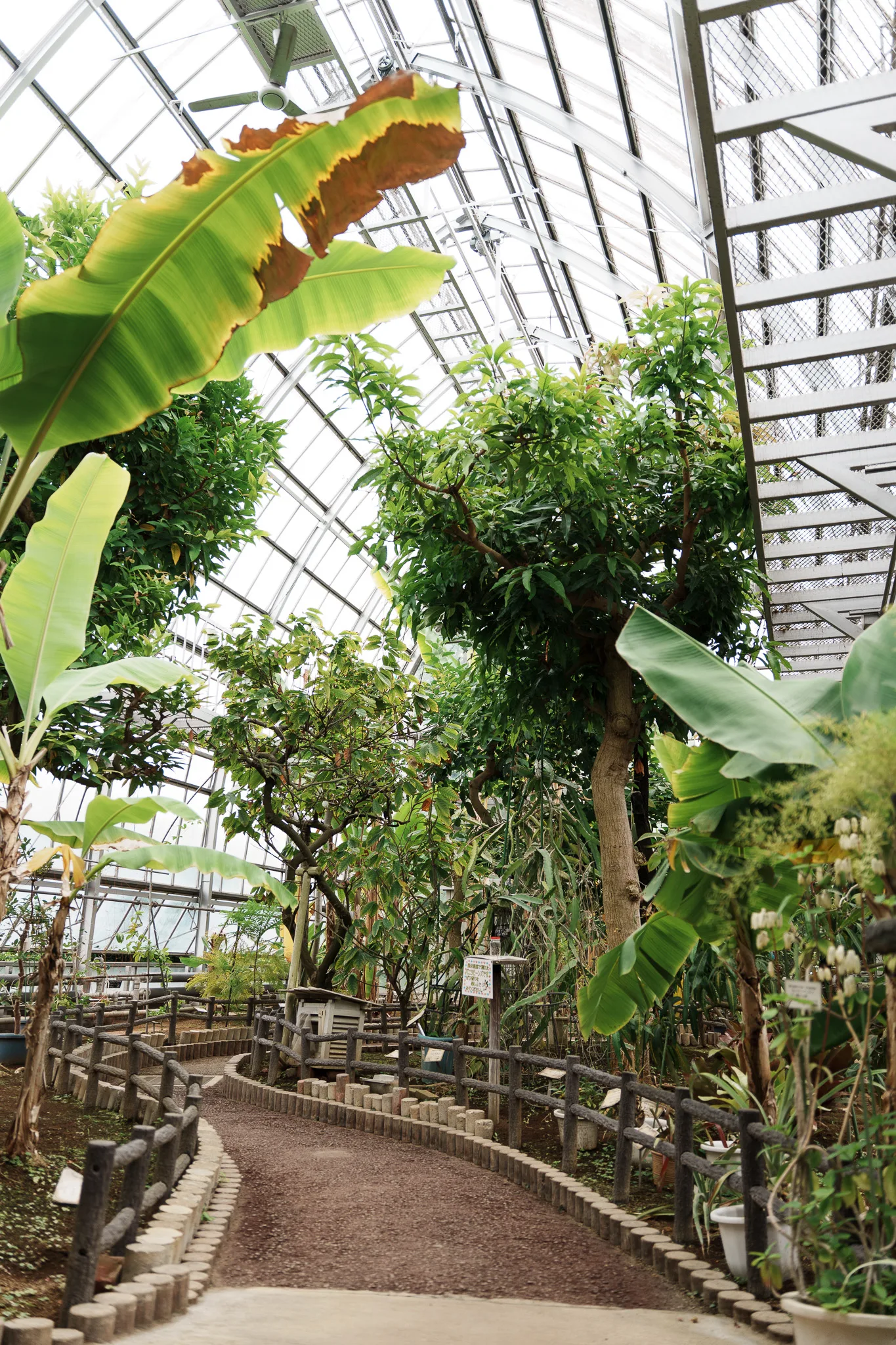 さいたま市園芸植物園-19.jpg