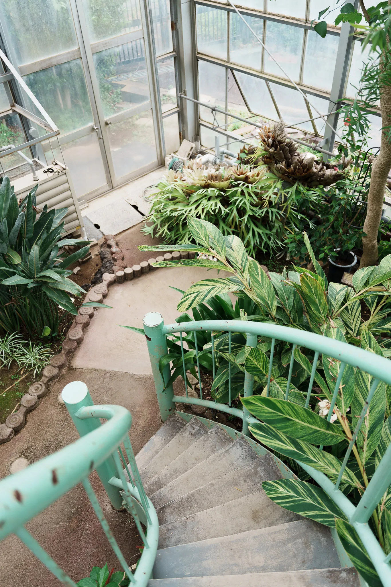 さいたま市園芸植物園-10.jpg