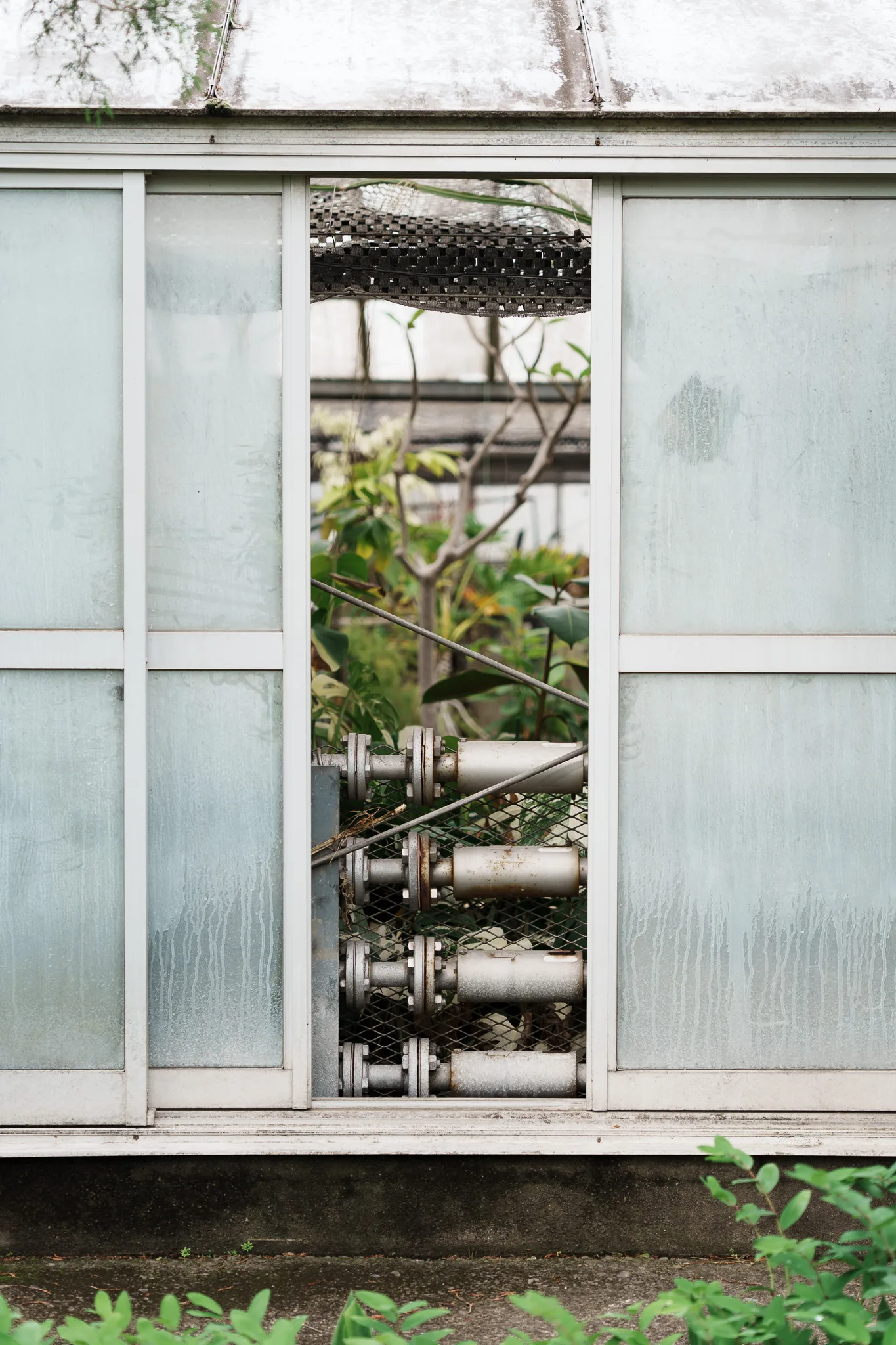 さいたま市園芸植物園-23.jpg