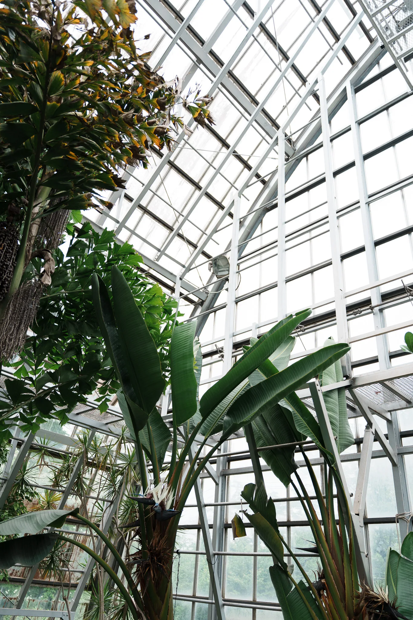 さいたま市園芸植物園-11.jpg